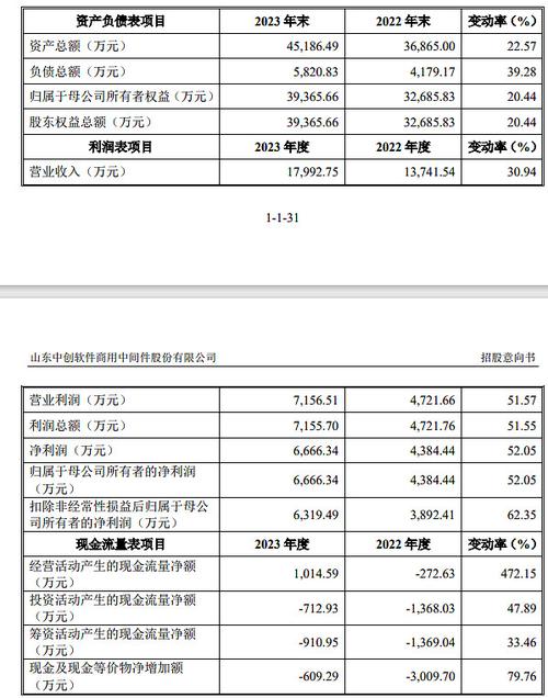 中創股份申購分析 公司簡介公司是國內領先的基礎軟件中間件產品與