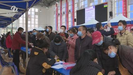 株洲市“就業創業地圖”上線，精準導航職業中介服務新體驗