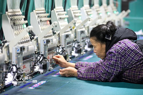 貴州從江 “家門口就業”鋪就增收坦途，公共就業服務暖人心